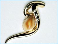 Moose Tooth Pin Stone